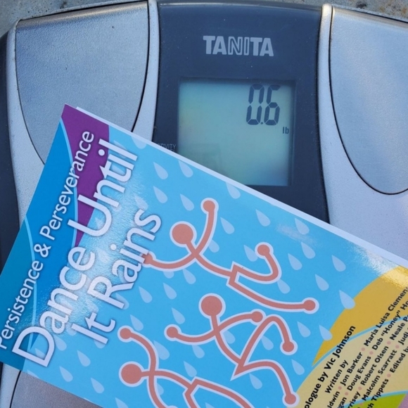 Dance Until it Rains: Inspiring Stories of Everyday Persistence Self-Help Book - Picture 10 of 10